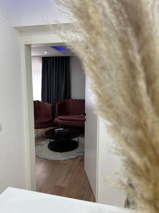 Traum Wohnung Mit Kingsize-Bett غراتس المظهر الخارجي الصورة