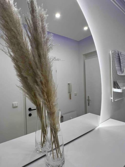 Traum Wohnung Mit Kingsize-Bett غراتس المظهر الخارجي الصورة